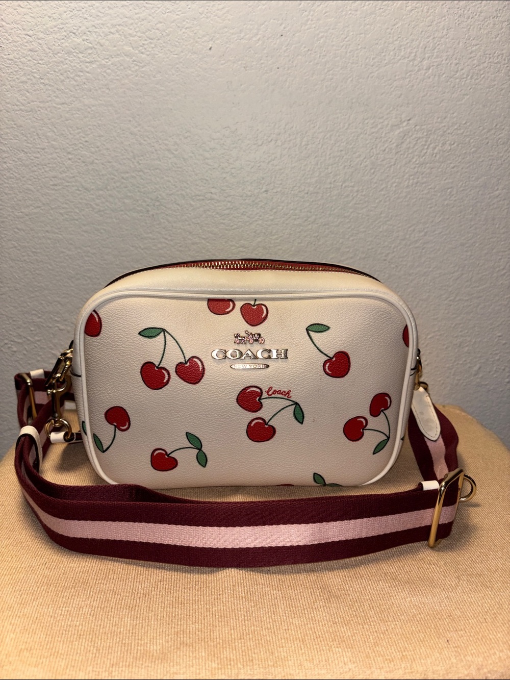 Coach Jamie Camera Bag Heart Cherry Print
